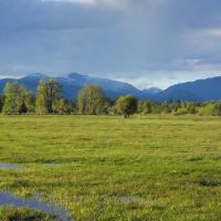 Pocha River Ranch images 4