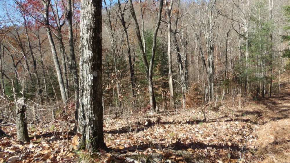Blair Rd featured image