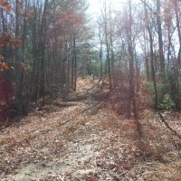 Blair Rd images 2