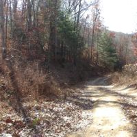 Blair Rd images 5