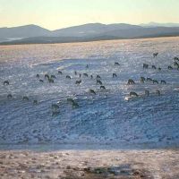 The Ranch on Four Mile Creek images 5