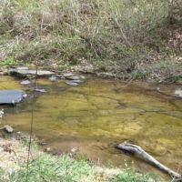 18.65 AC IN THE HILLS OF KY UNDEVELOPED CAVE - CREEK WAY IN THE COUNTRY images 4