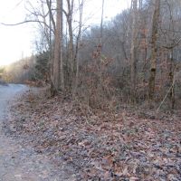 18.65 AC IN THE HILLS OF KY UNDEVELOPED CAVE - CREEK WAY IN THE COUNTRY images 5