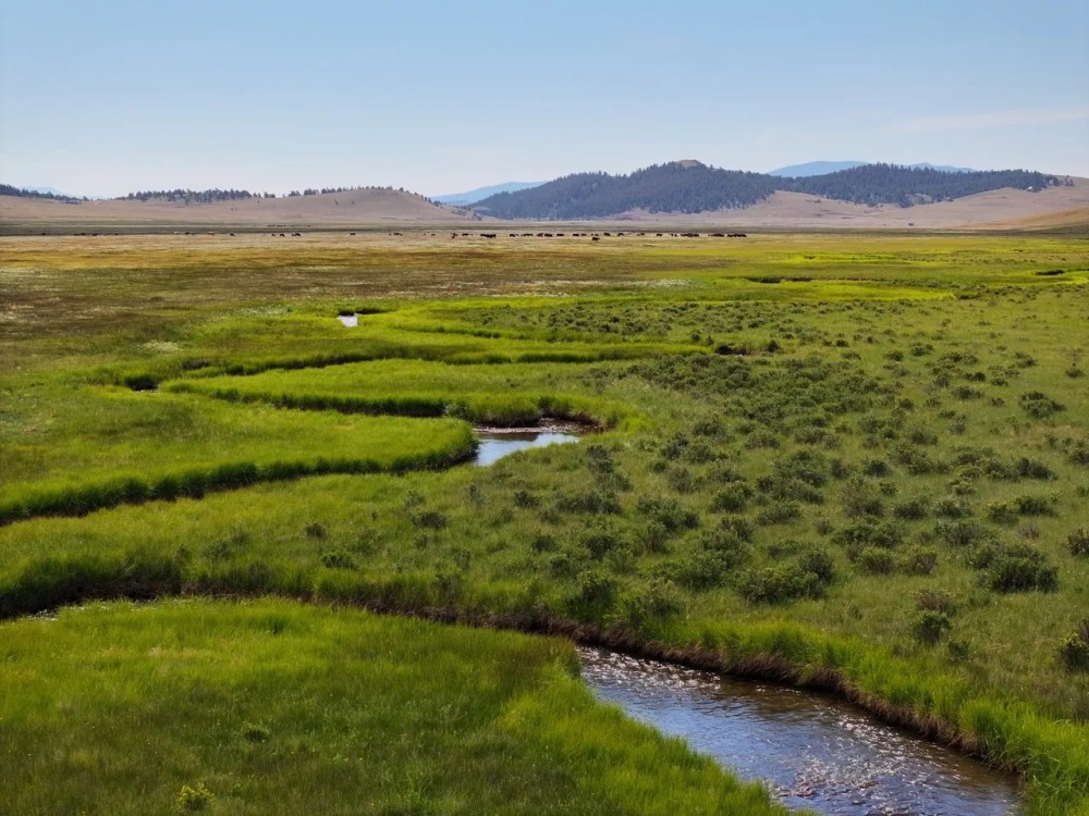 Arrowhead Ranch featured image