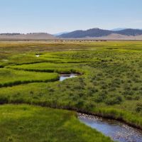 Arrowhead Ranch