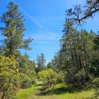 B46 Santa Fe Trail Ranch images 2