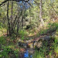 B46 Santa Fe Trail Ranch images 5