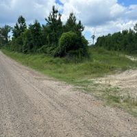 LA - Jackson Ouachita 40 acres -