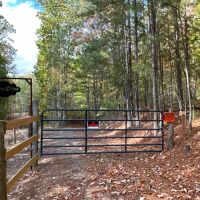 80 Acre Hunting Paradise images 2