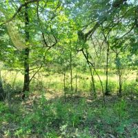 JOSLIN VALLEY Tract E images 5