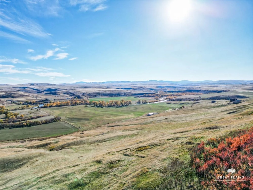 Ten Mile Road Ranch featured image