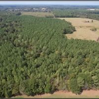 330.5 Acers in Rankin County in Pelahatchie MS images 3