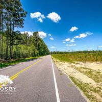 Hoke 301 images 3