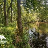 Hoke 301 images 4