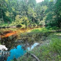 Hoke 301 images 5