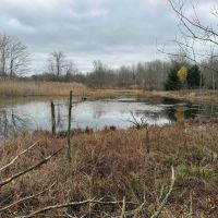66 acres Hunting Land and Recreational Land with Pond in Mayville NY 6260 Honeysette Rd