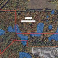 66 acres Hunting Land and Recreational Land with Pond in Mayville NY 6260 Honeysette Rd images 3