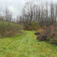 66 acres Hunting Land and Recreational Land with Pond in Mayville NY 6260 Honeysette Rd images 5