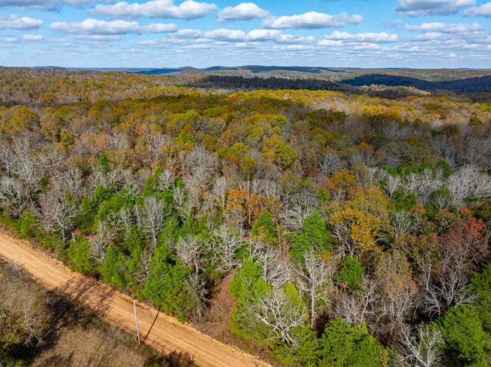 72 - Acres Timberland Hunters Paradise Live Springs Evening Shade Arkansas featured image