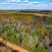 72 - Acres Timberland Hunters Paradise Live Springs Evening Shade Arkansas