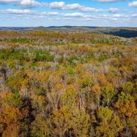 72 - Acres Timberland Hunters Paradise Live Springs Evening Shade Arkansas images 5