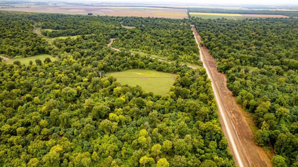 Premier Hunting Property for Sale on Mississippi River featured image