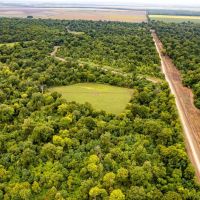 Premier Hunting Property for Sale on Mississippi River