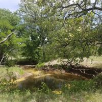 New Listing 50 - Acres Callahan County images 2