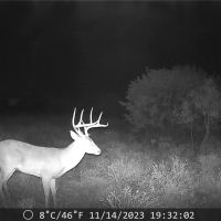 New Listing 50 - Acres Callahan County images 3