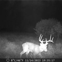 New Listing 50 - Acres Callahan County images 5