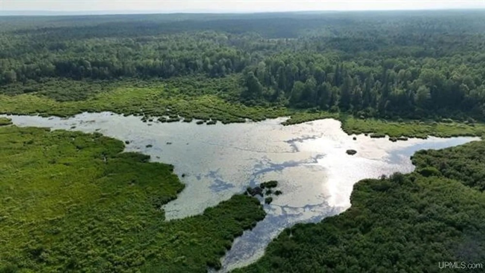 Parcel F 110 Acres 50160044 featured image