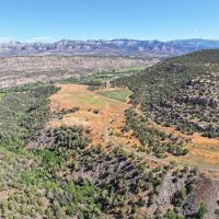 Acreage with Irrigation In Mesa Colorado