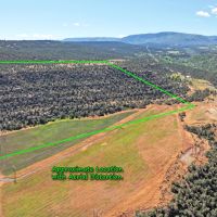 Acreage with Irrigation In Mesa Colorado images 5