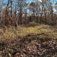 Morris s Creek images 2