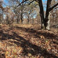 Morris s Creek images 5