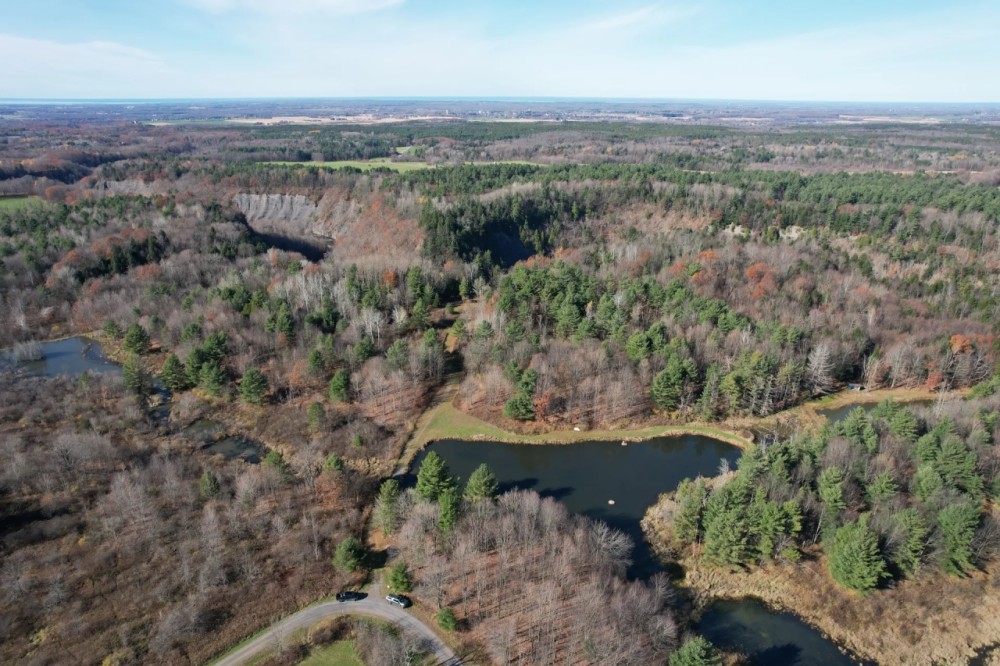 30 acres Hunting Land with Cabin Lorraine NY featured image