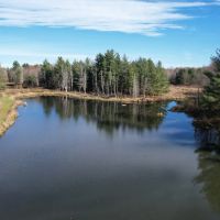 30 acres Hunting Land with Cabin Lorraine NY images 2