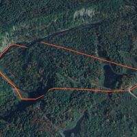 30 acres Hunting Land with Cabin Lorraine NY images 3