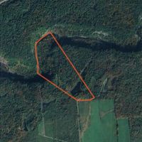 30 acres Hunting Land with Cabin Lorraine NY images 4