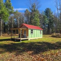 30 acres Hunting Land with Cabin Lorraine NY images 5