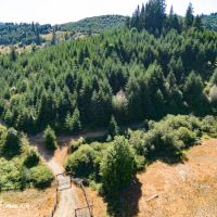 Upstream Timber and Cattle Ranch images 4