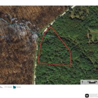 Partridge Woods images 4