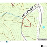 Partridge Woods images 5