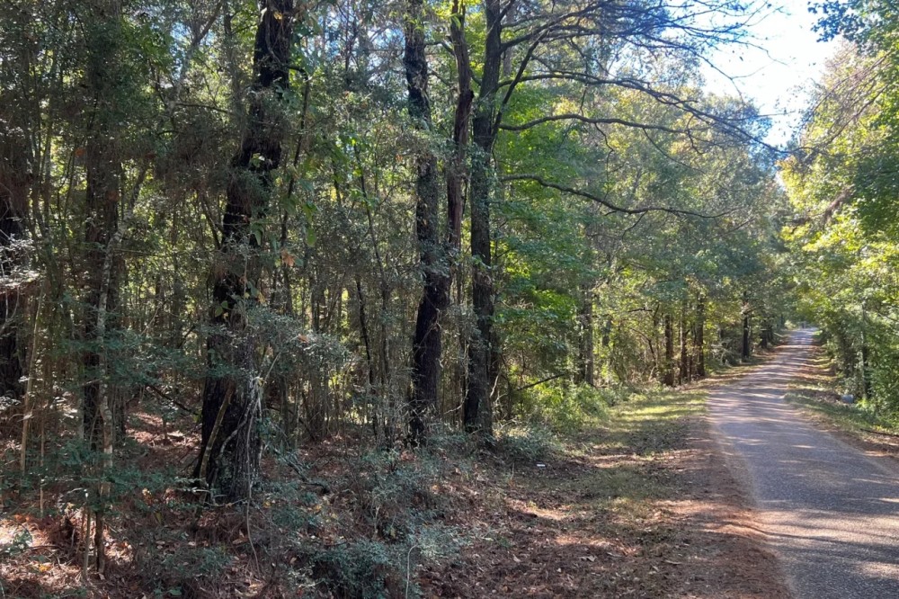 18.5 Acres Amite County MS featured image