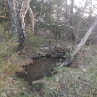 190 Acres Pastures Woods Ponds Spring Fenced Texas Shannon County images 2