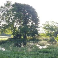 190 Acres Pastures Woods Ponds Spring Fenced Texas Shannon County images 3