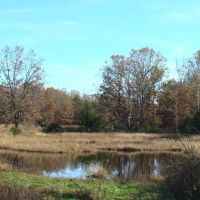 190 Acres Pastures Woods Ponds Spring Fenced Texas Shannon County images 5