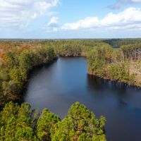 Ogeechee Refuge