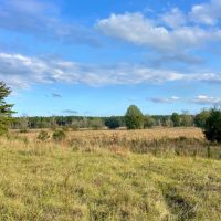 90 Acres with a Home in Attala Choctaw Counties MS images 4