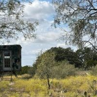 189 - Acres….4 Tanks Oaks Views Hunting Creek